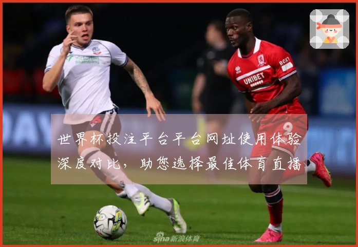 世界杯投注平台平台网址使用体验深度对比，助您选择最佳体育直播入口