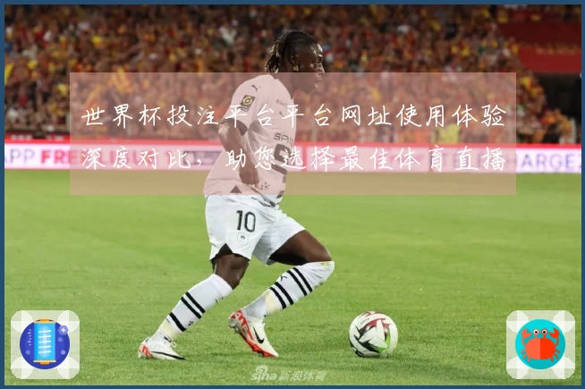 世界杯投注平台平台网址使用体验深度对比，助您选择最佳体育直播入口