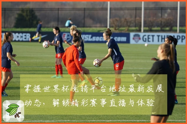 掌握世界杯竞猜平台地址最新发展动态，解锁精彩赛事直播与体验