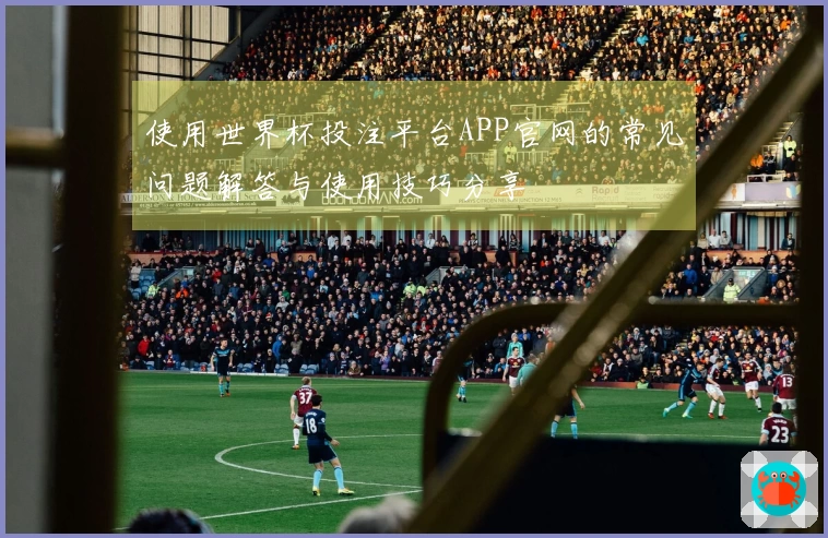 使用世界杯投注平台APP官网的常见问题解答与使用技巧分享