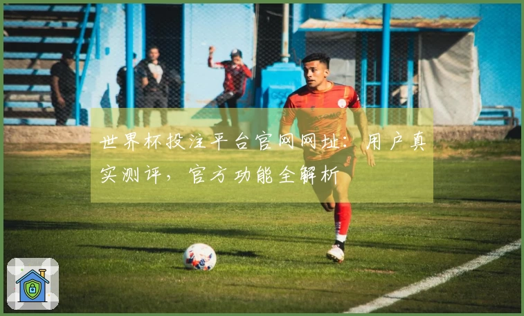 世界杯投注平台官网网址：用户真实测评，官方功能全解析