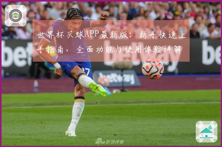 世界杯买球APP最新版:新手快速上手指南,全面功能与使用体验详解