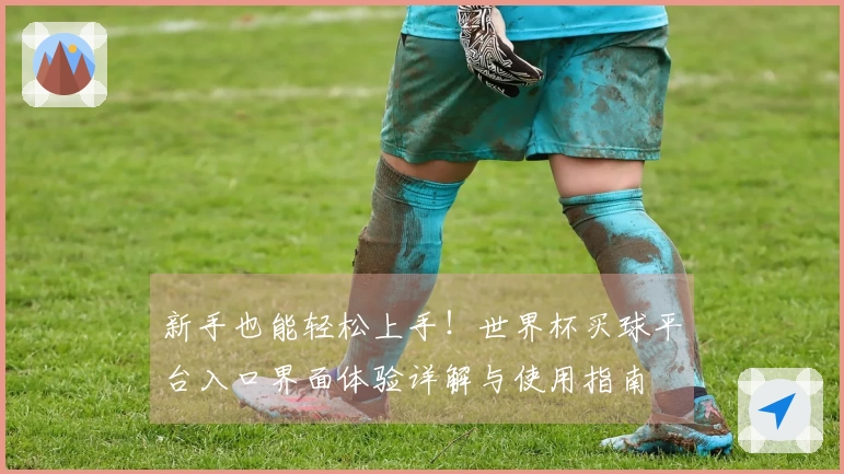 新手也能轻松上手!世界杯买球平台入口界面体验详解与使用指南