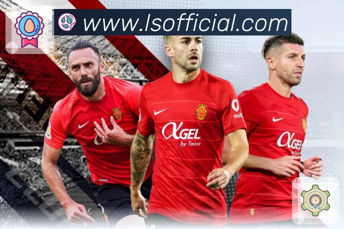 <strong>leisu</strong>安全风控体系